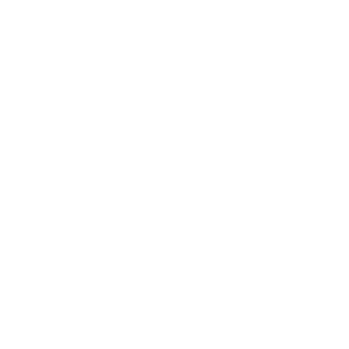 VIPLAN.png